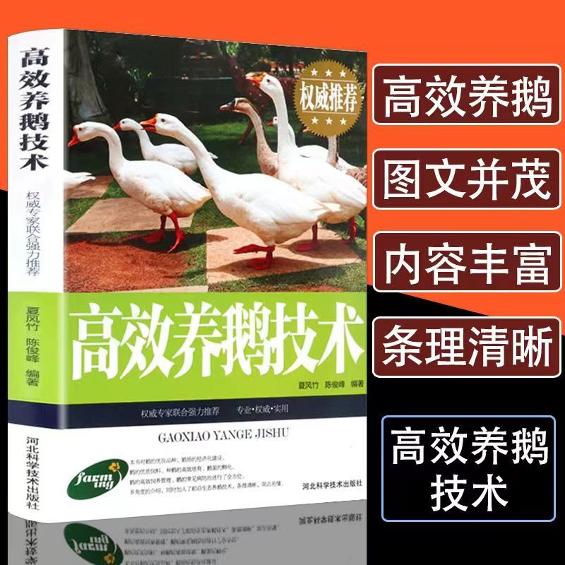 高效养鹅技术