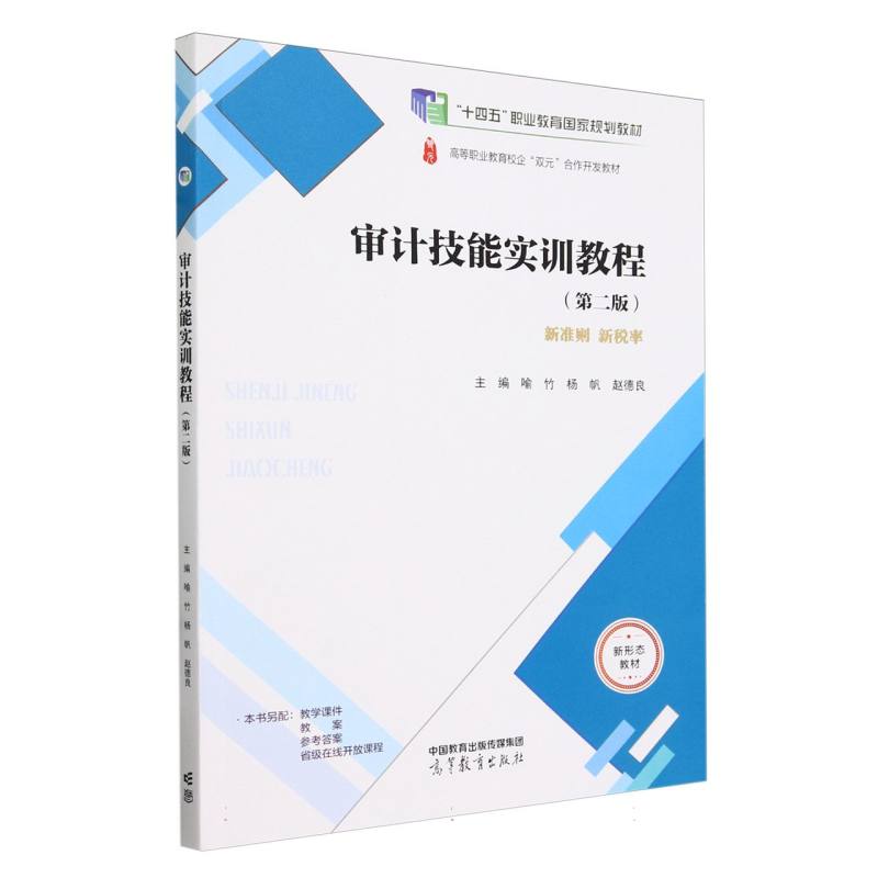 审计技能实训教程（第二版）