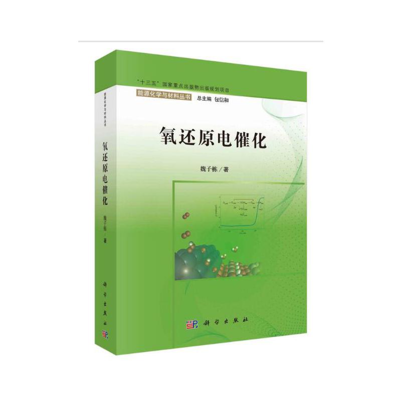 氧还原电催化/能源化学与材料丛书