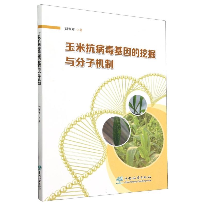 玉米抗病毒基因的挖掘与分子机制