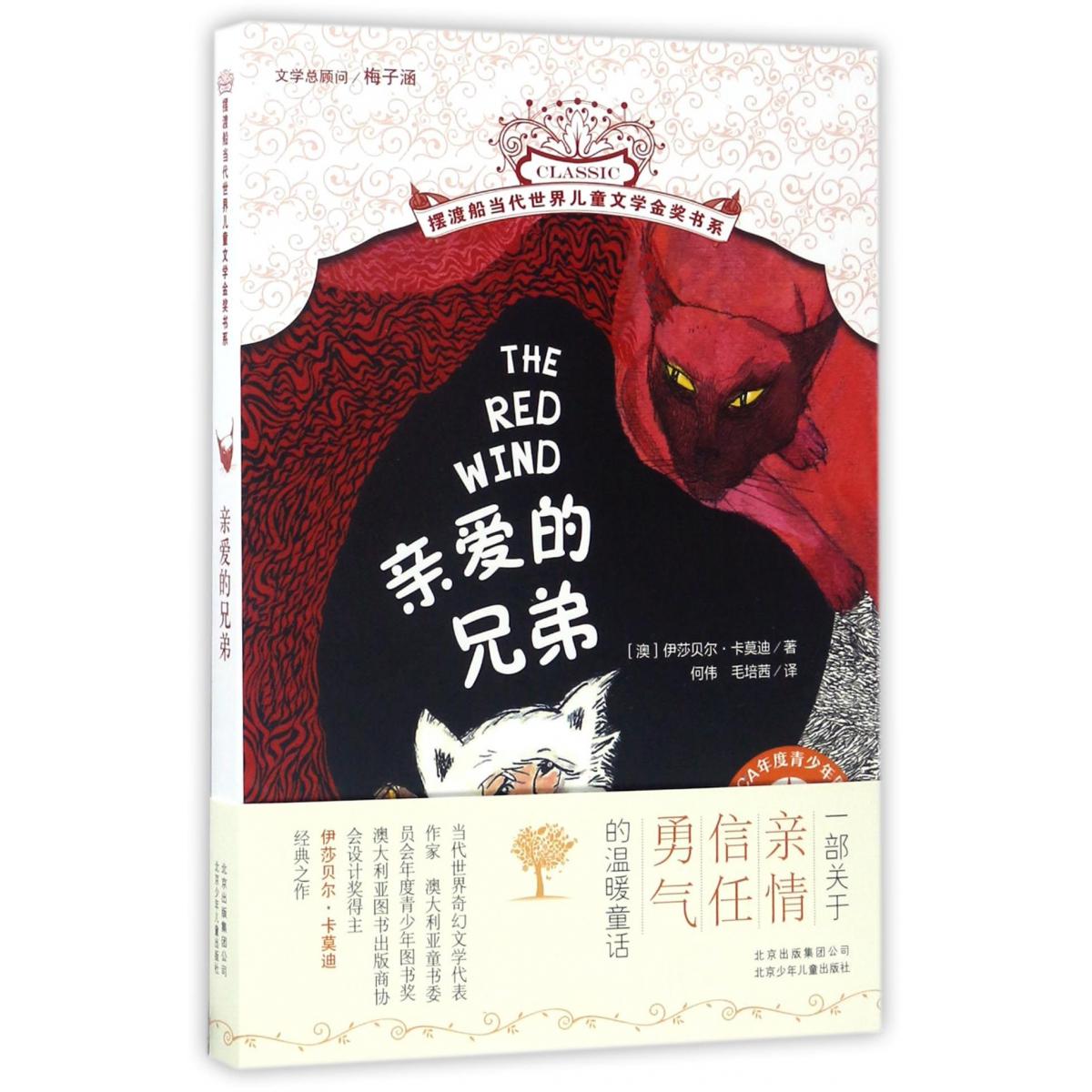 亲爱的兄弟/摆渡船当代世界儿童文学金奖书系