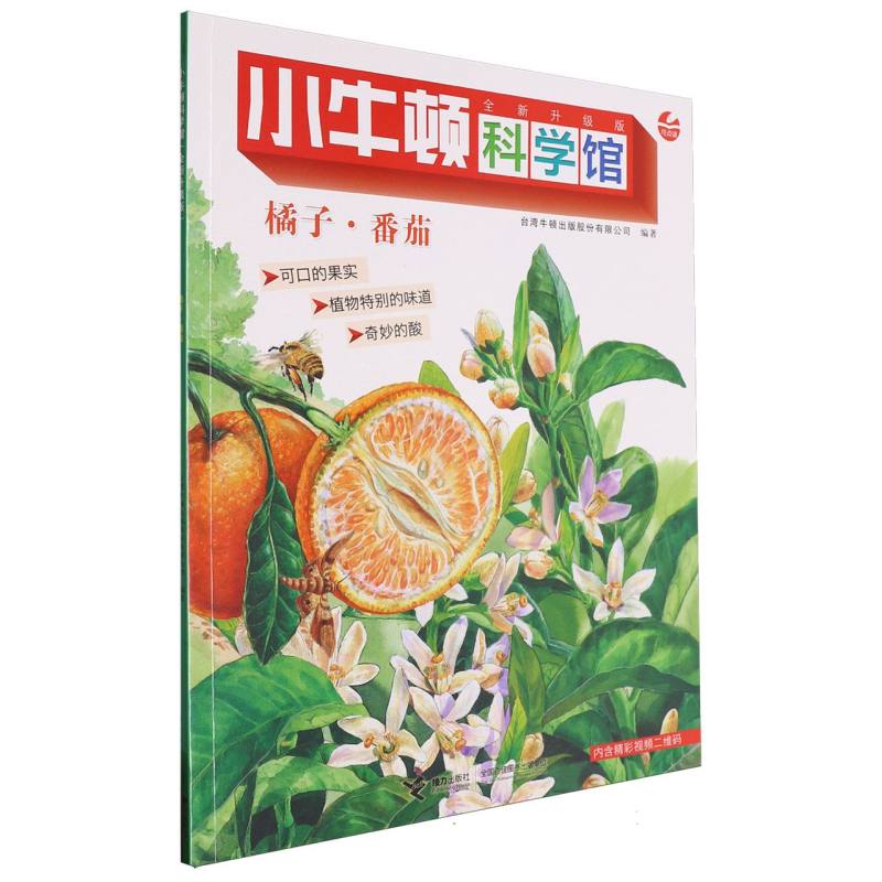 橘子番茄（全新升级版）/小牛顿科学馆