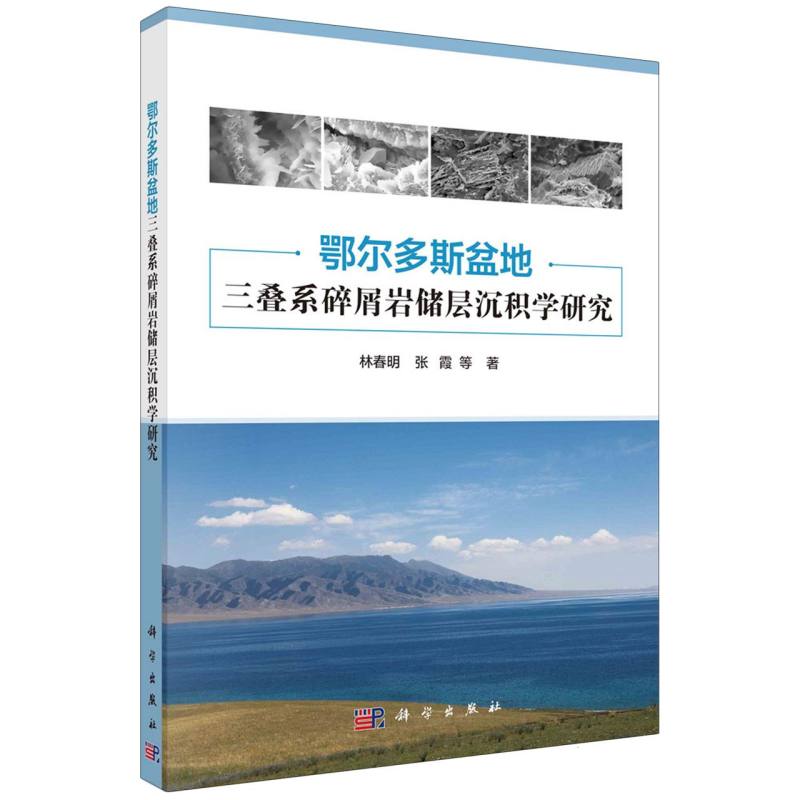 鄂尔多斯盆地三叠系碎屑岩储层沉积学研究