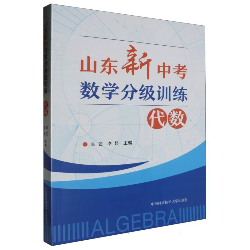 山东新中考数学分级训练：代数