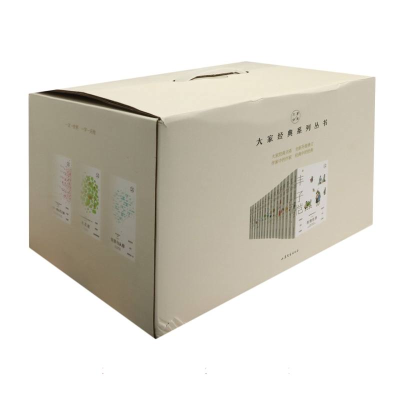 大家经典系列丛书（共20册）（精）