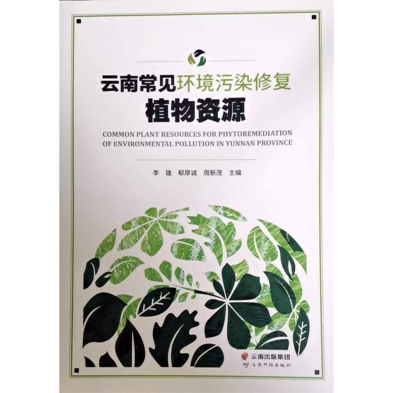 云南常见环境污染修复植物资源