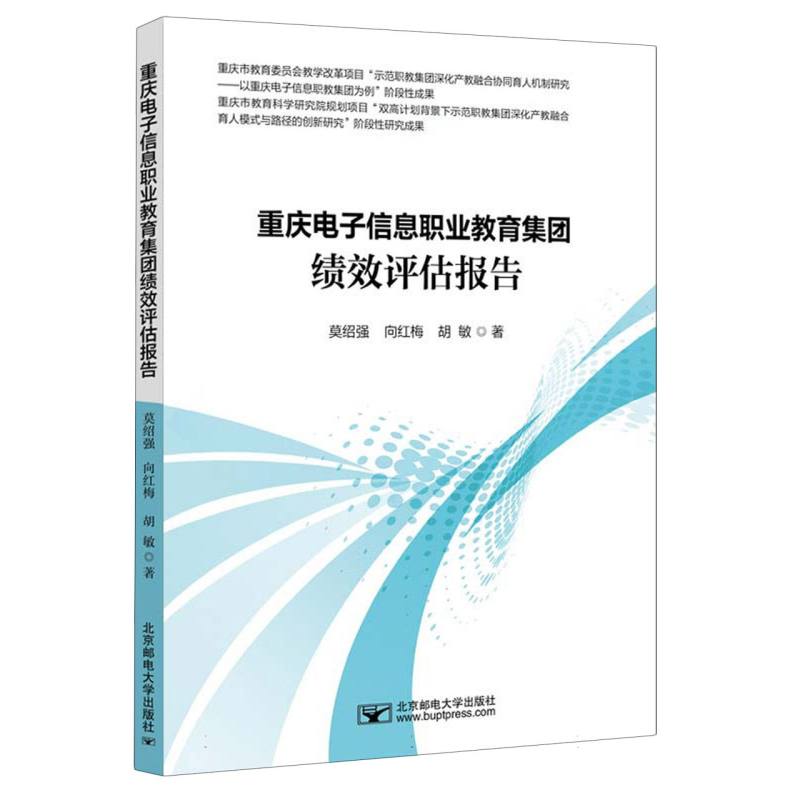 重庆电子信息职业教育集团绩效评估报告