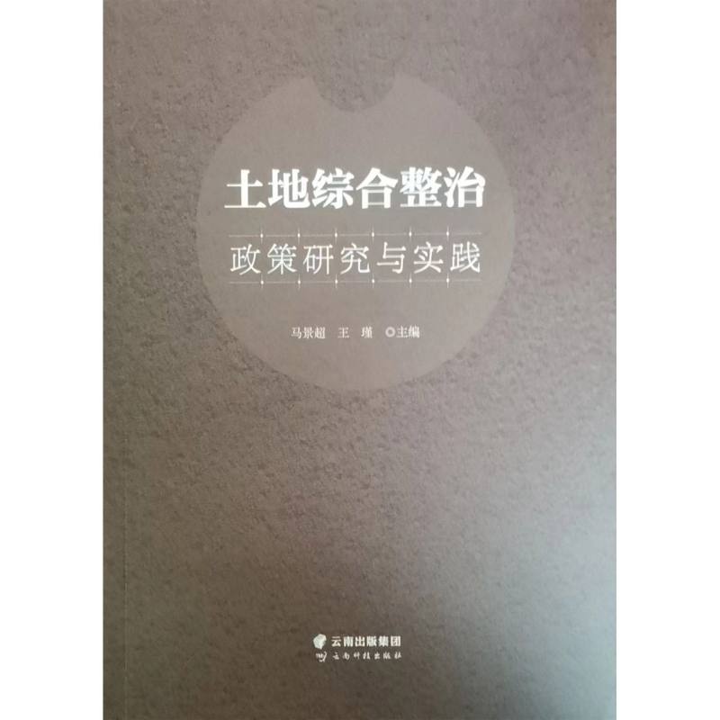 土地综合整治政策研究与实践