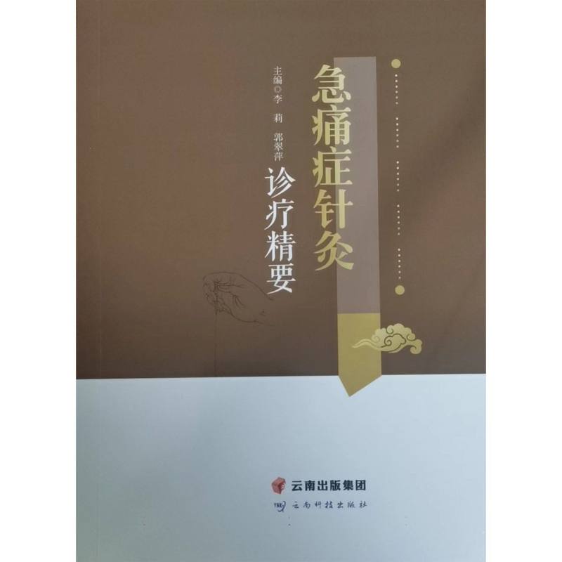 急痛症针灸诊疗精要
