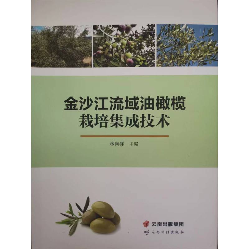 金沙江流域油橄榄栽培集成技术