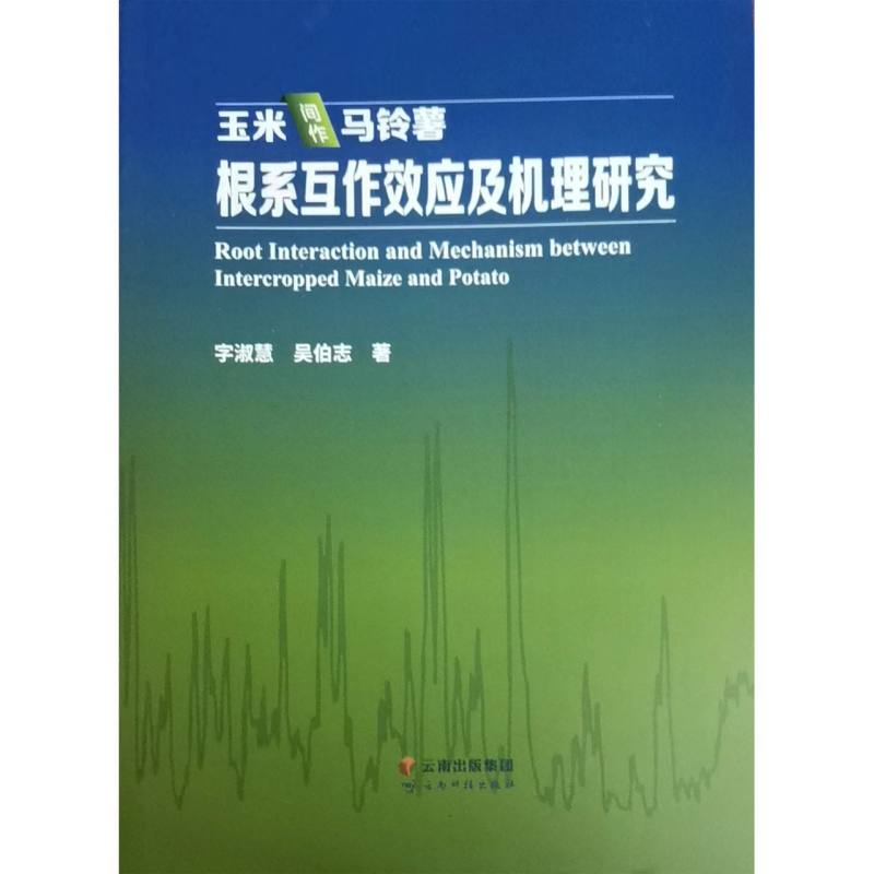 玉米间作马铃薯根系互作效应及机理研究