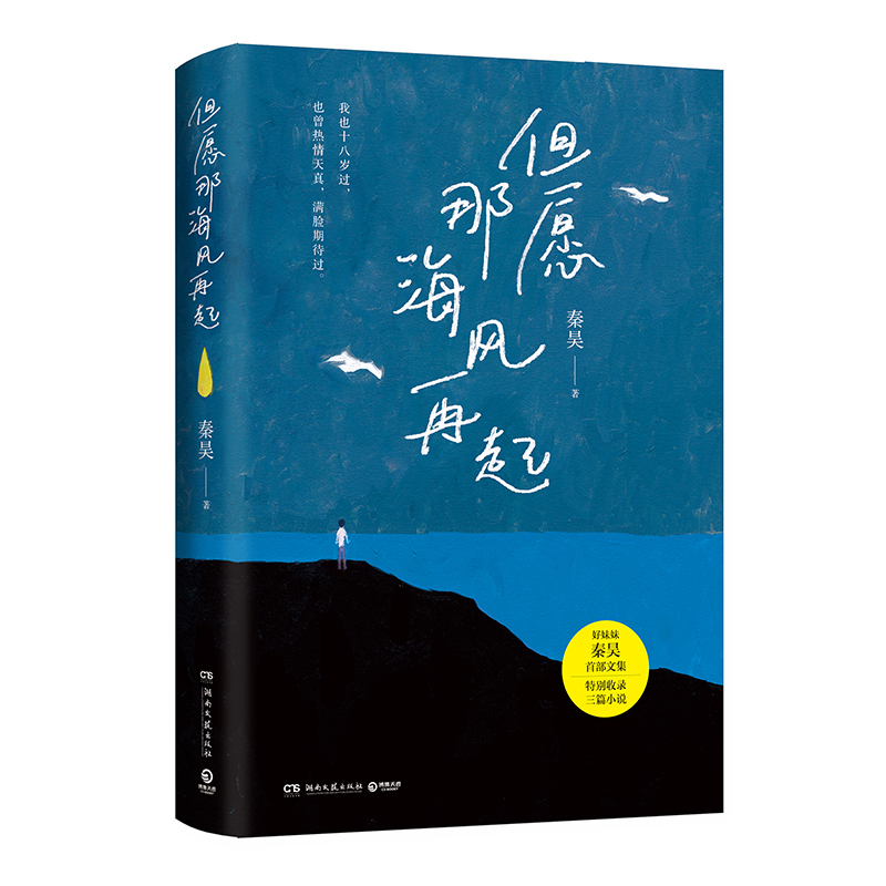 但愿那海风再起