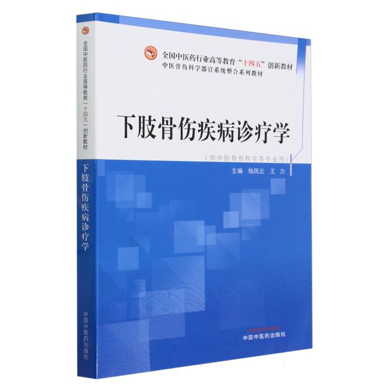 下肢骨伤疾病诊疗学