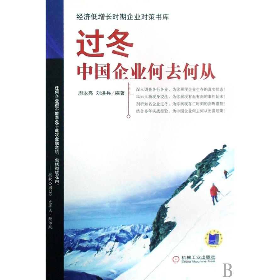 过冬中国企业何去何从/经济低增长时期企业对策书库