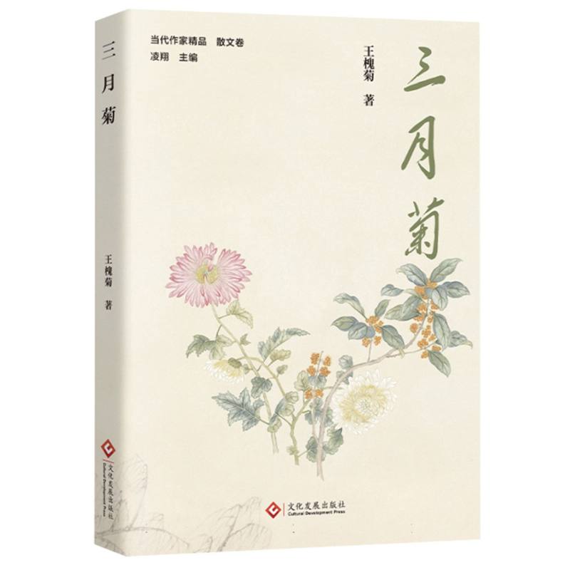 三月菊