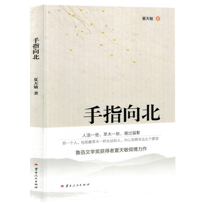 小说：手指向北（塑封）