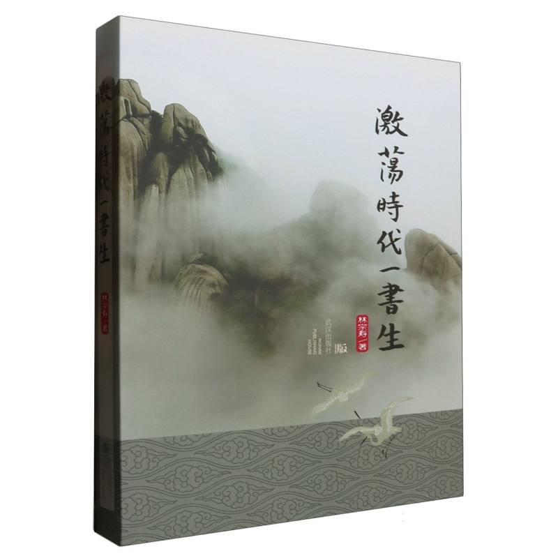 激荡时代一书生
