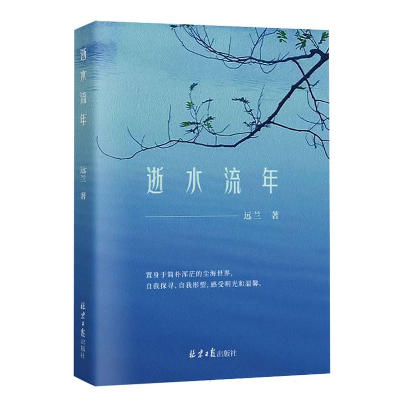 逝水流年