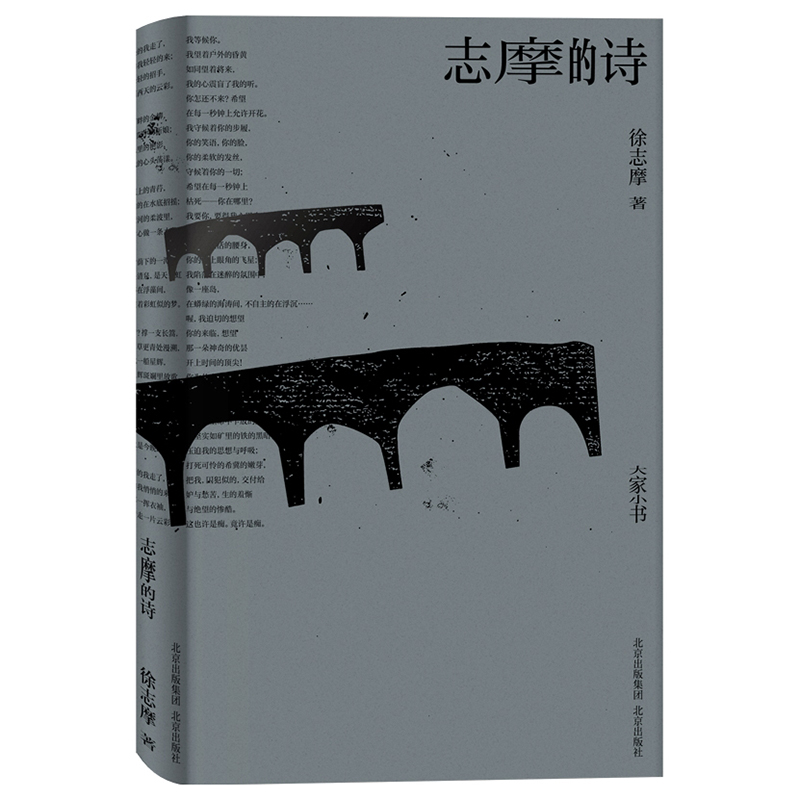 大家小书·文学卷 志摩的诗