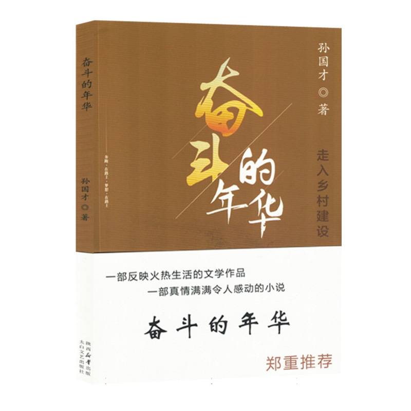 奋斗的年华：走入乡村建设