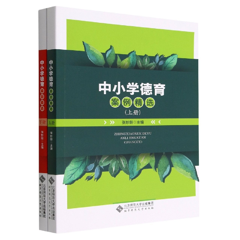 中小学德育案例精选(上下)