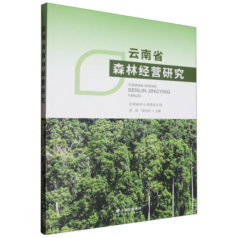 云南省森林经营研究
