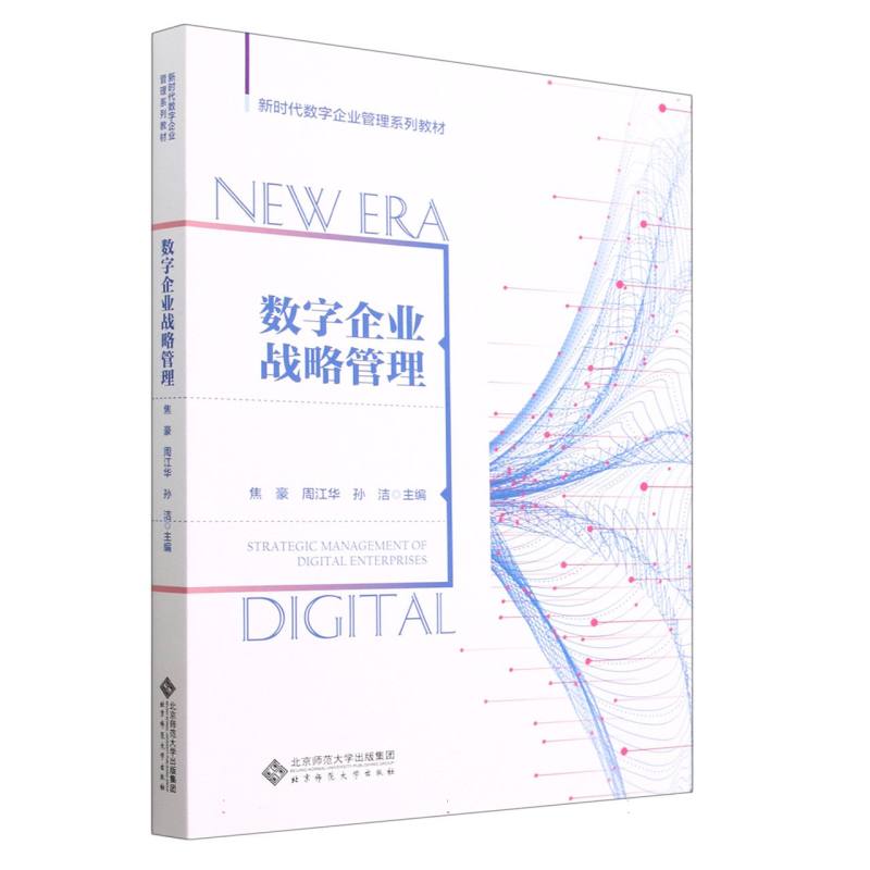 数字企业战略管理(新时代数字企业管理系列教材)