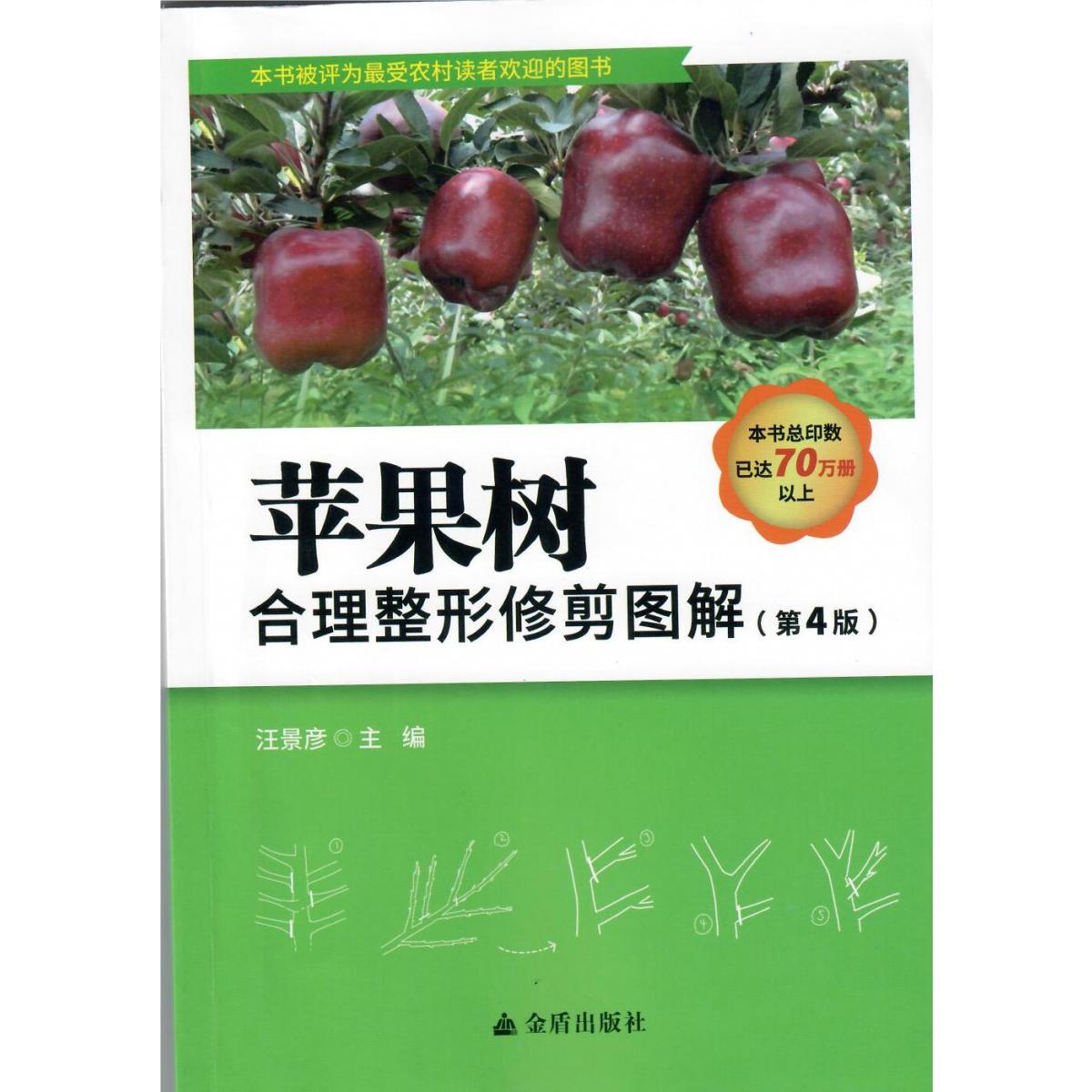 苹果树合理整形修剪图解