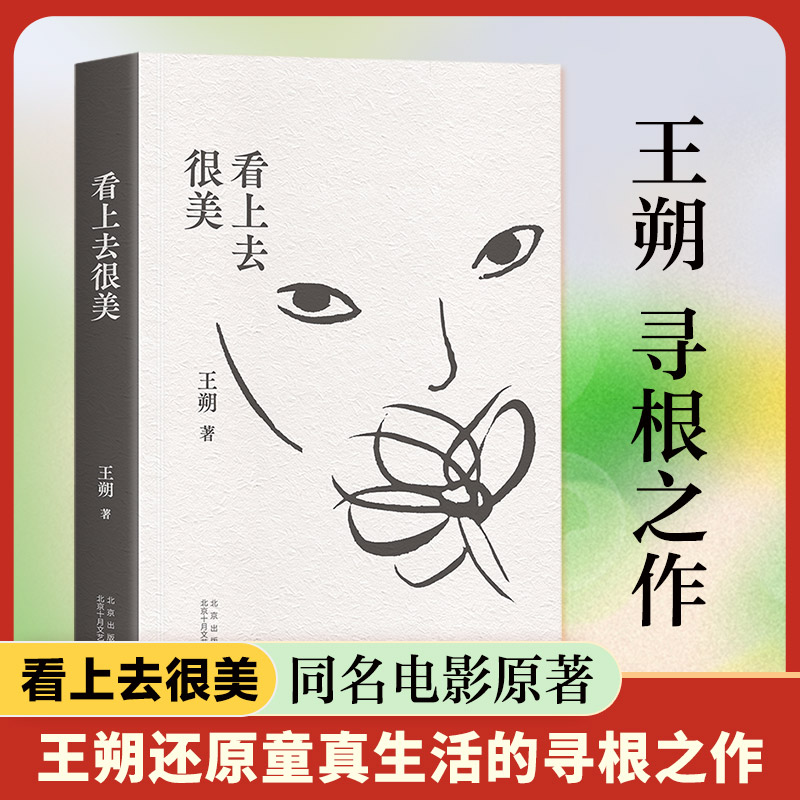 看上去很美（2023精装版）