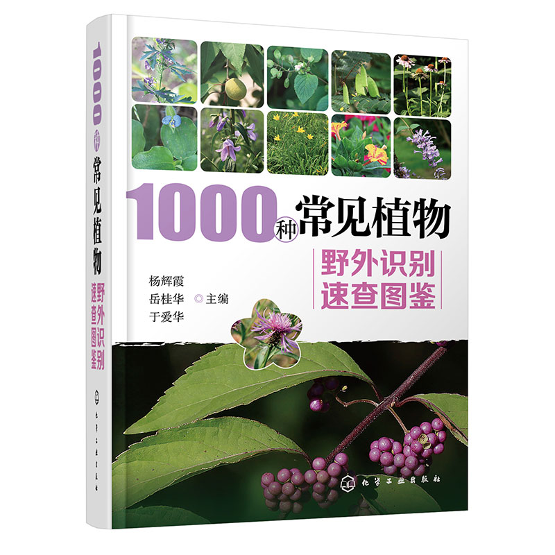 1000种常见植物野外识别速查图鉴(精)