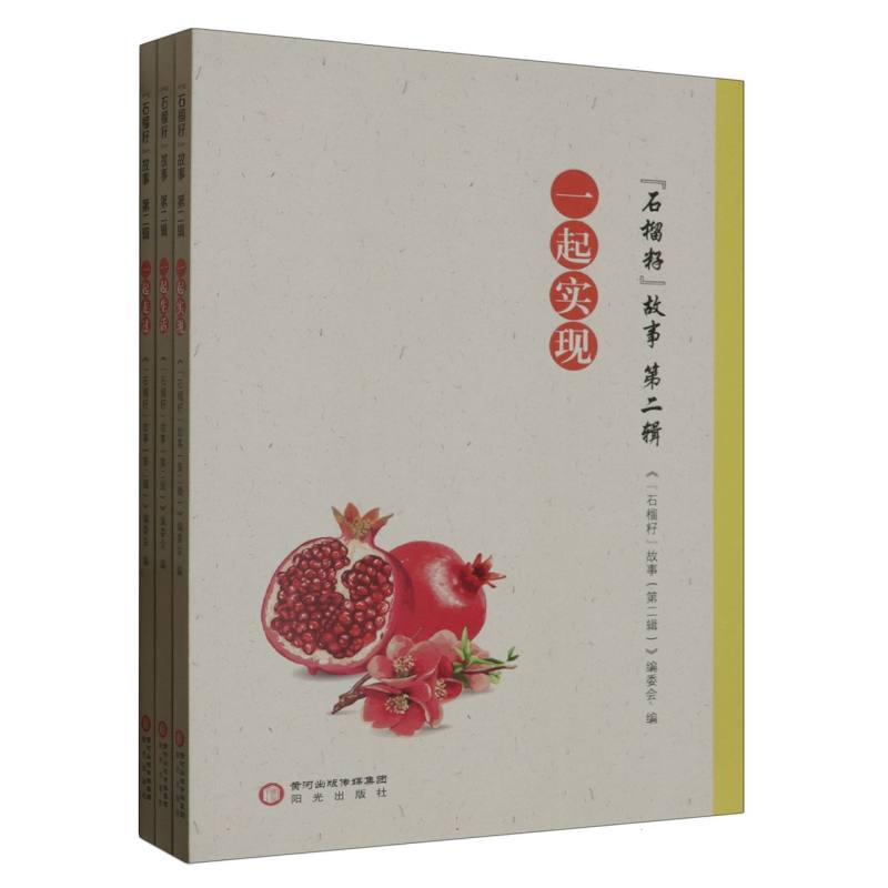 小说：石榴籽故事（全三册）塑封