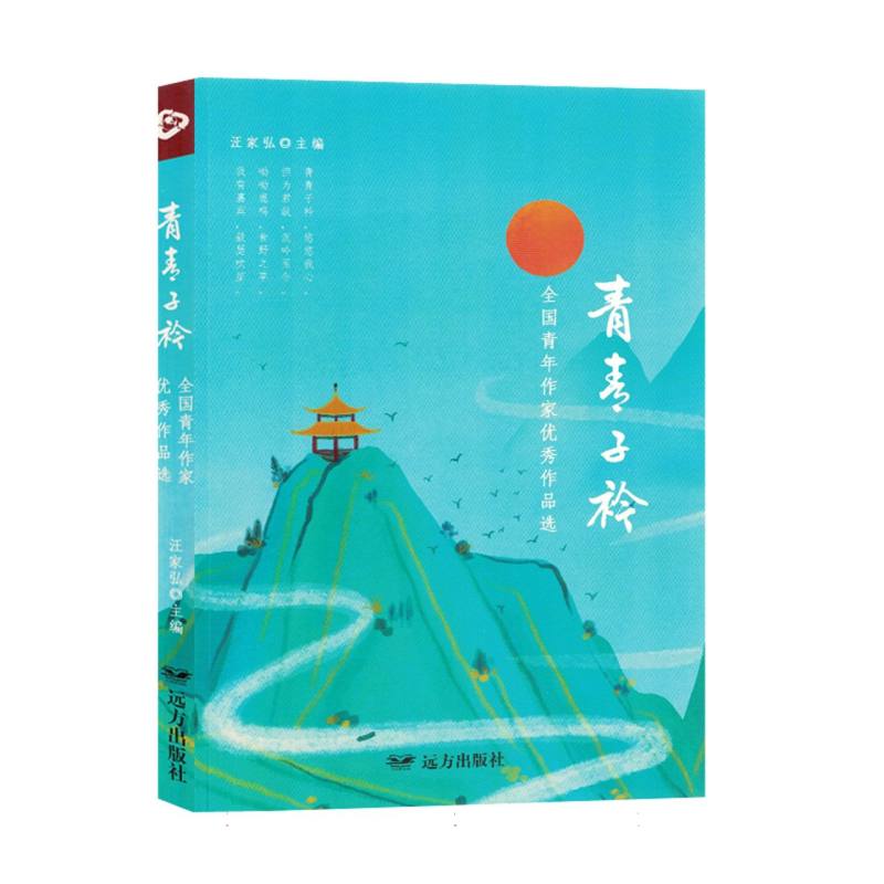 小说：青青子衿（塑封）