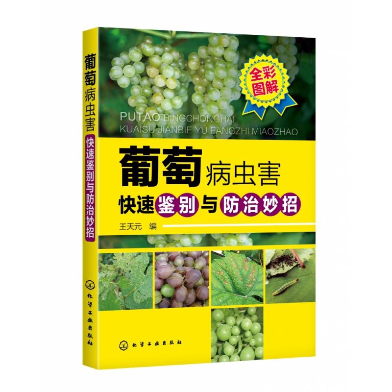 葡萄病虫害快速鉴别与防治妙招