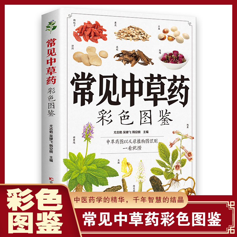 常见中草药彩色图鉴（16开四色平装）