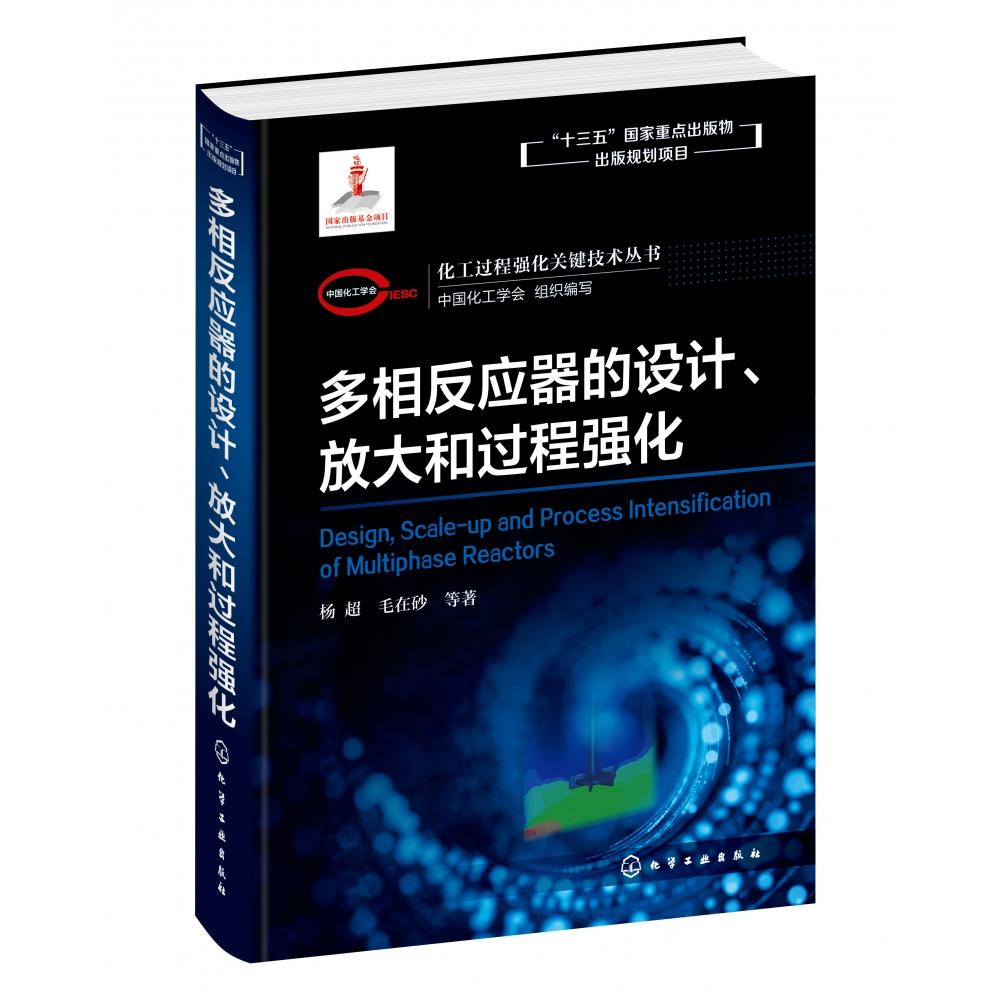 多相反应器的设计放大和过程强化(精)/化工过程强化关键技术丛书