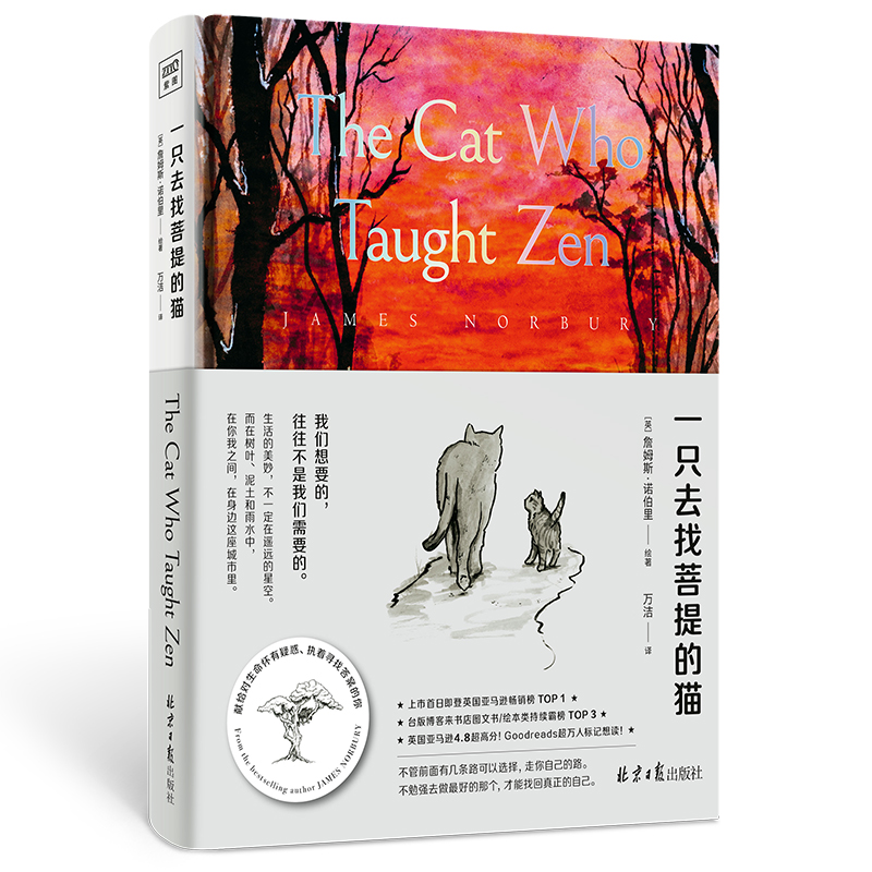 一只去找菩提的猫