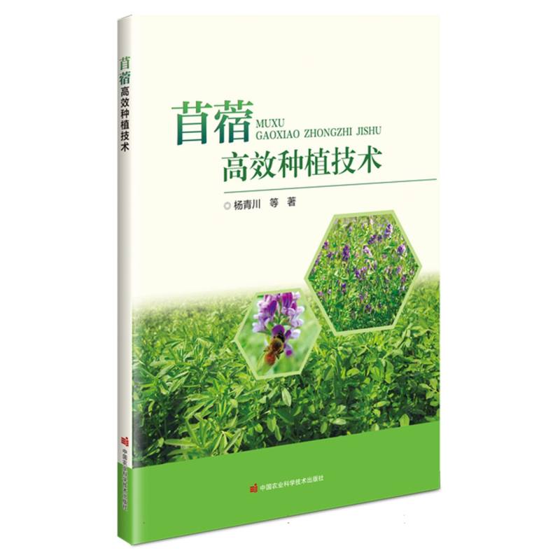 苜蓿高效种植技术
