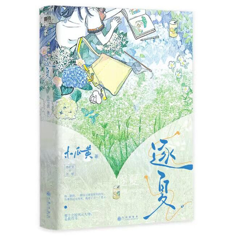 逐夏 印特签飞机盒