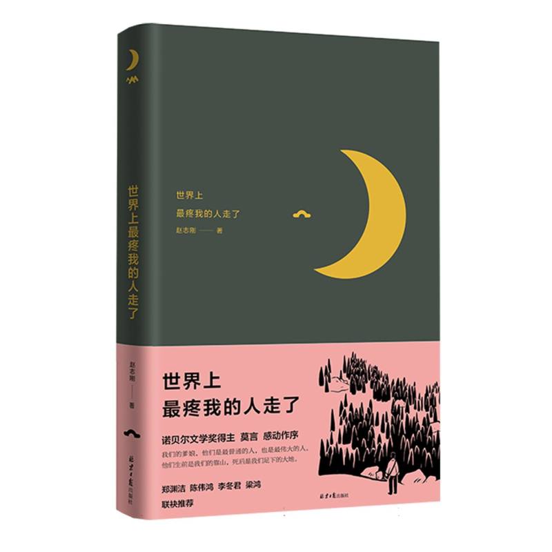 世界上最疼我的人走了(塑封)