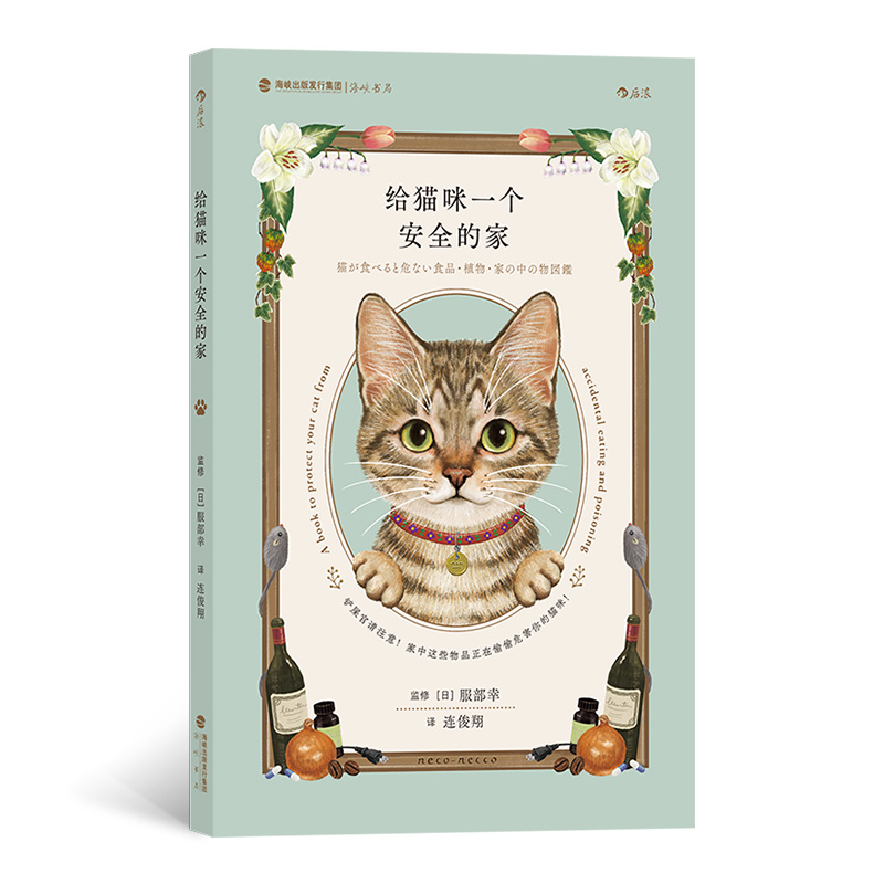 给猫咪一个安全的家