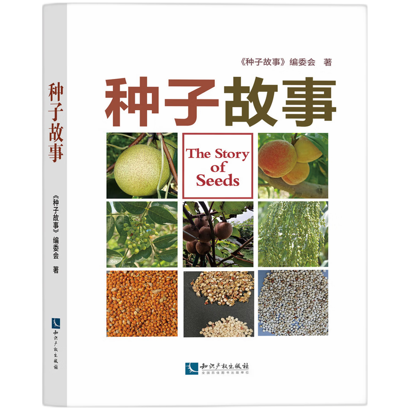 种子故事