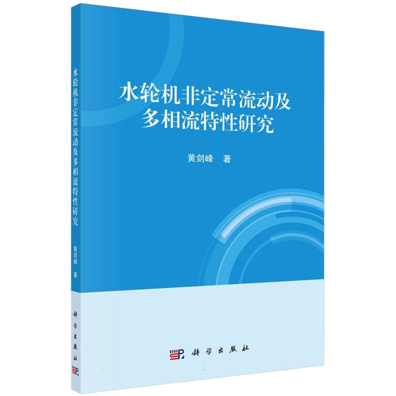 水轮机非定常流动及多相流特性研究
