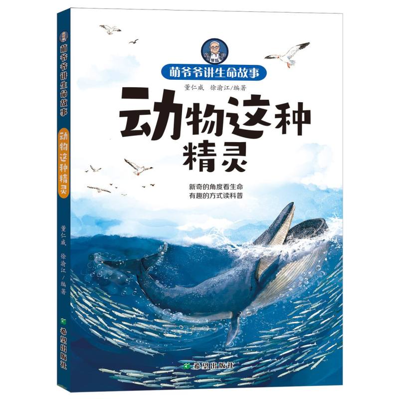 动物这种精灵