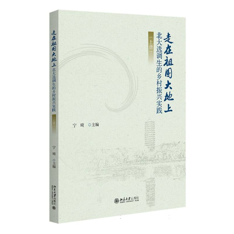 走在祖国大地上——北大选调生的乡村振兴实践（上册）