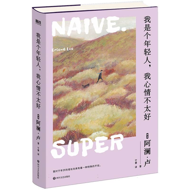 我是个年轻人我心情不太好