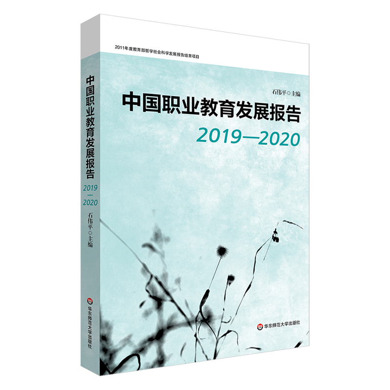 中国职业教育发展报告（2019—2020）