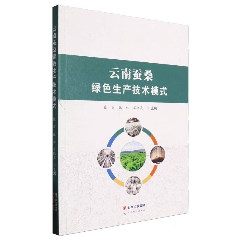 云南蚕桑绿色生产技术模式