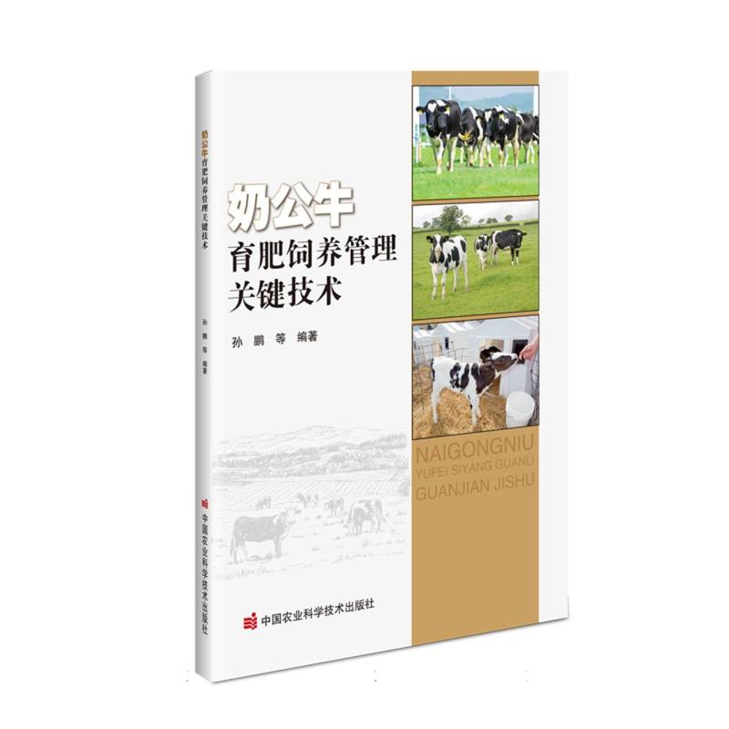 奶公牛育肥饲养管理关键技术