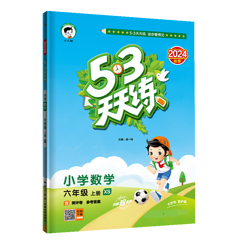 2025版《5.3》天天练六年级上册  数学（西师版XS）