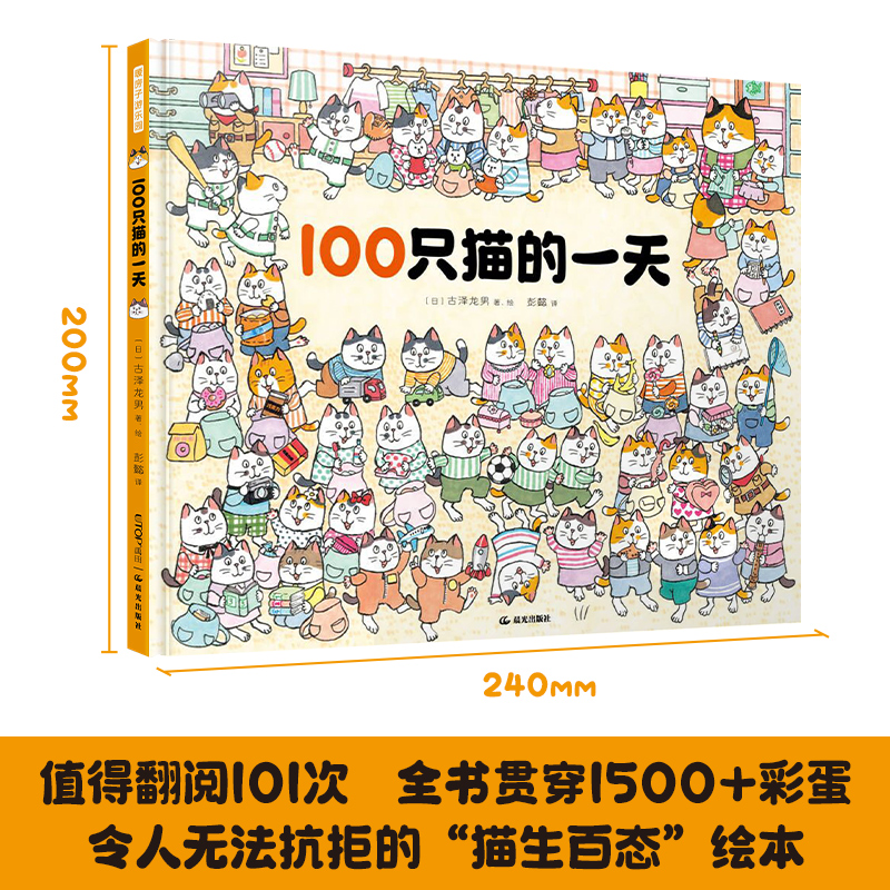 100只猫的一天